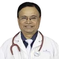 Prof. Dr. M Monir Hossain